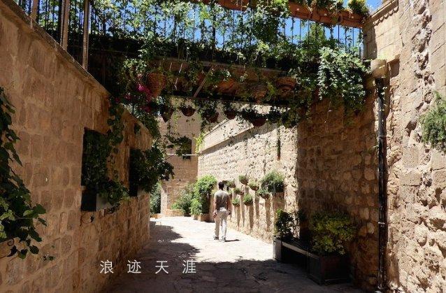巴南区代表团建议：以重庆国际免疫研究院为核心打造第五家重庆实验室